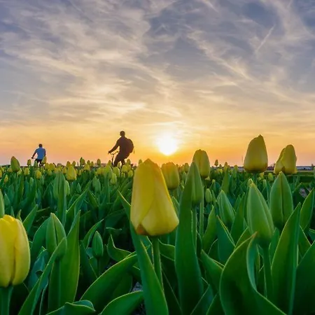 La Siesta Zee Nyaraló Noordwijk